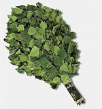 Веник банный березовый, в пакете