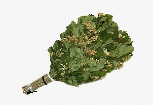 Веник банный Ecovenik Калина