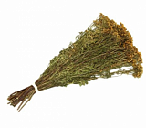 Пижма трава, пучок